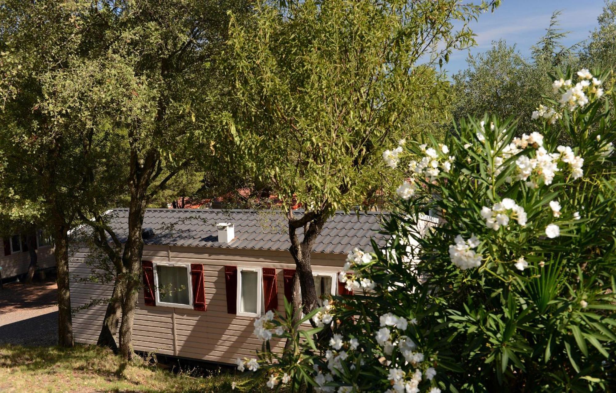 Domaine Residentiel De Plein Air Odalys La Pinede Агде Екстериор снимка