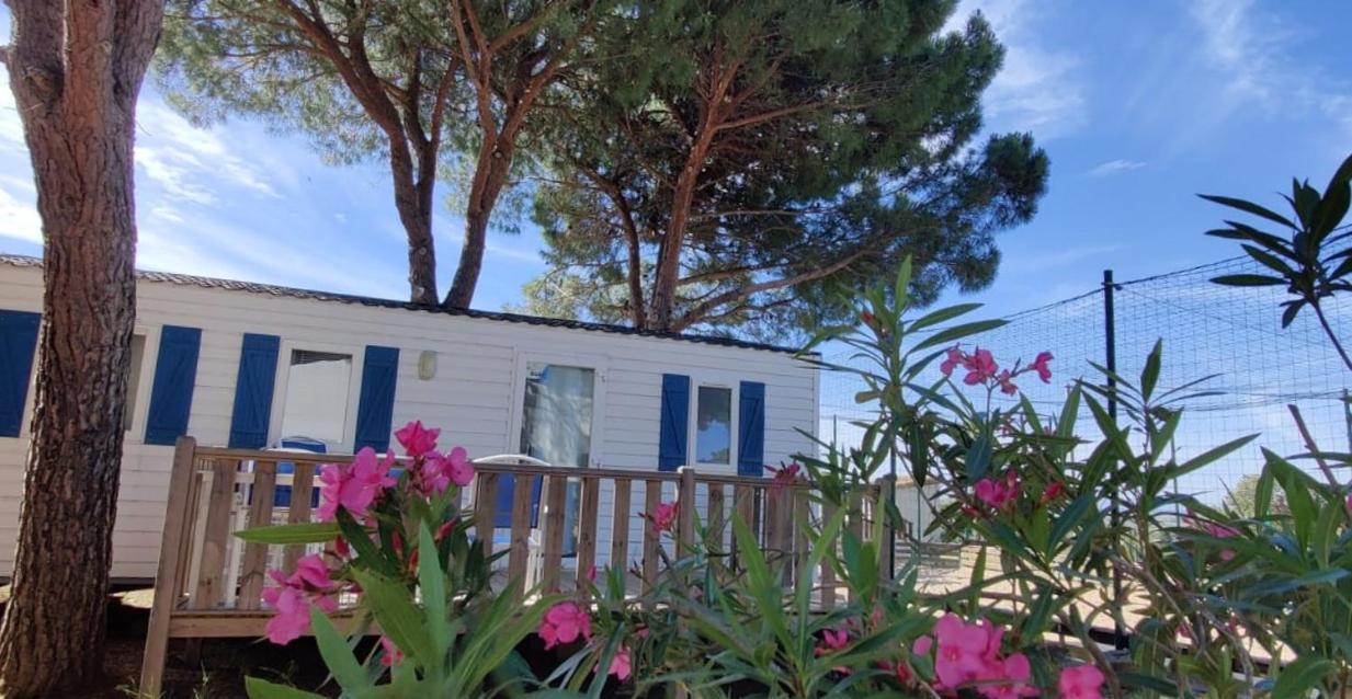 Domaine Residentiel De Plein Air Odalys La Pinede Агде Екстериор снимка