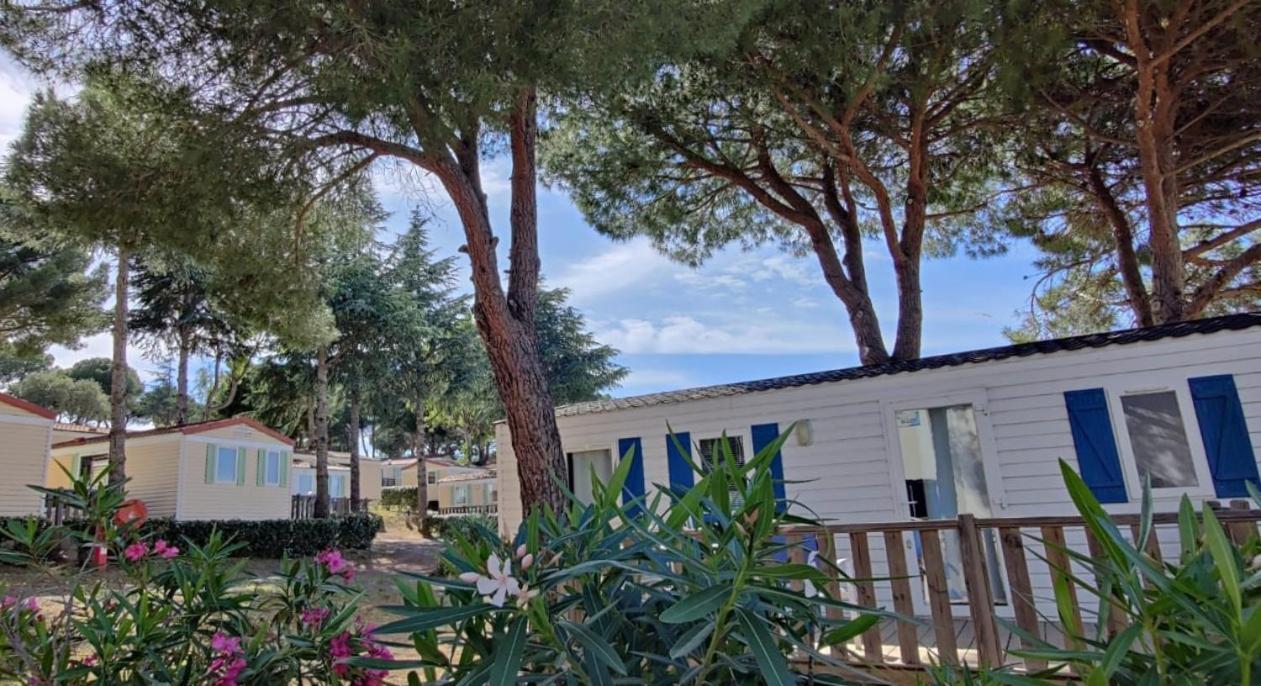 Domaine Residentiel De Plein Air Odalys La Pinede Агде Екстериор снимка